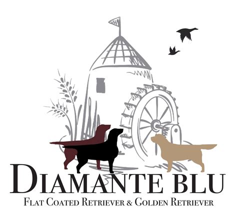 Bitches Diamante Blu