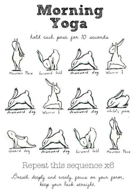 Morning Yoga Cute Bunnies And All Other Great Benefits That