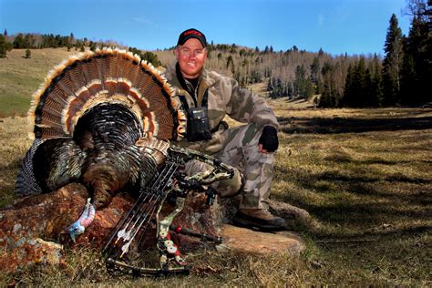 Tricks Of The Trade To Help You Take Your Next Turkey With A Bow