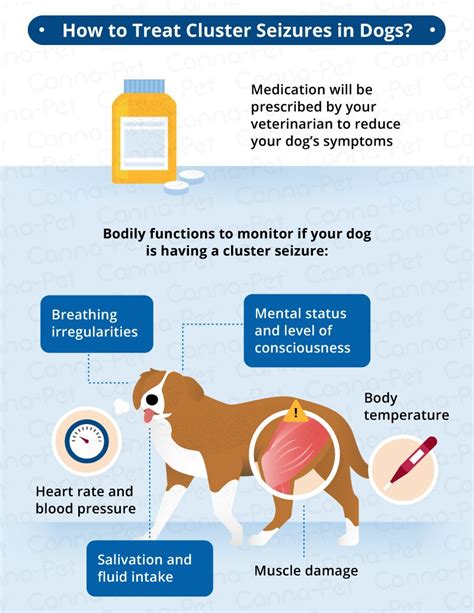 Cluster Seizures in Dogs | Canna-Pet? | Seizures in dogs, Medication for dogs, Seizures