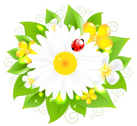 Daisy Decor Png Picture Gallery Yopriceville High Quality Free