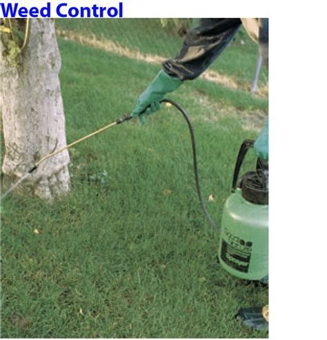 Like most garden pests, ants will generally do their own thing without bothering anyone else. Yosemite Pest Control - Residential Services - Yard ...