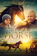 Orphan Horse (2018) - IMDb
