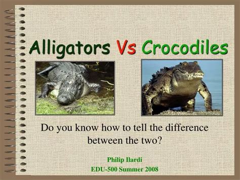 Ppt Alligators Vs Crocodiles Powerpoint Presentation Id192384