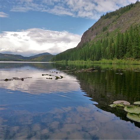 Conkle Lake Provincial Park Columbia Britannica Tutto Quello Che Cè