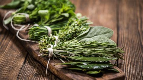 12 hierbas aromáticas imprescindibles para cocinar Hogarmania