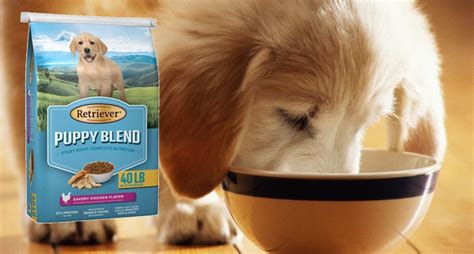 Retriever Dog Food Review 2023 Pros Cons And Recalls All About Pups