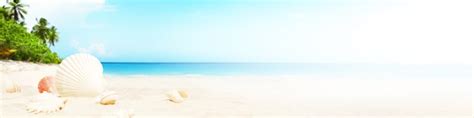 Premium Photo Landscape With Seashells On Tropical Beach Summer