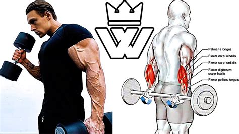 12 Exercises To Build Bigger Arms Triceps Biceps Forearm Workout