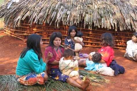 Mbya Guaraní People Living In The Atlantic Rainforest Of Misiones