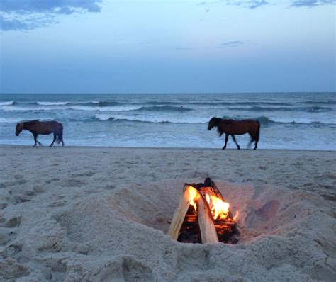 The Smells Of Bonfires On The Beach Assateague Outdoor Decor