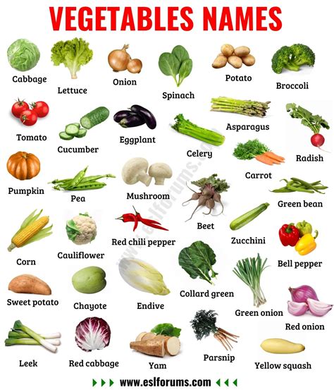 List Of Vegetables Useful Names Of Vegetables With The Picture Name