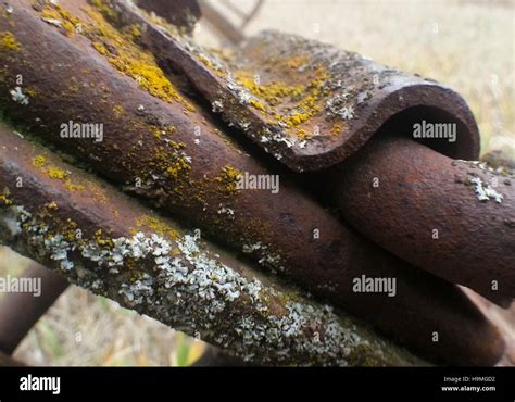 Moss And Old Farm Machinery Stock Photo Alamy