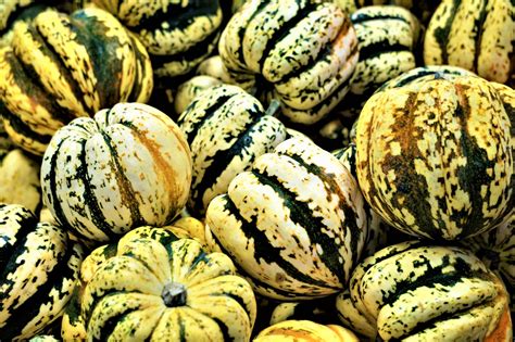 15 Common Types Of Squash—and What To Do With Them Myrecipes