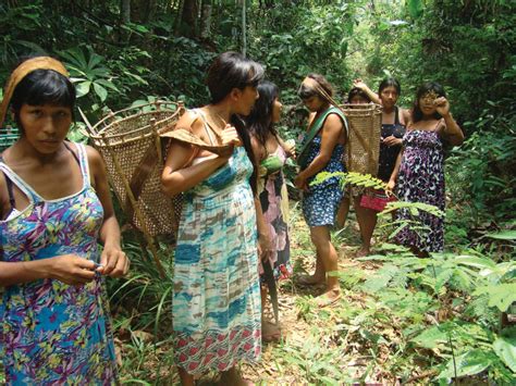 Women Collecting Amazon Forest Seeds At Panará Indigenous Territory Download Scientific