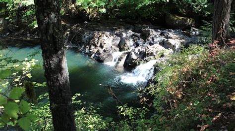 Cavitt Creek Falls Recreation Site Flickr