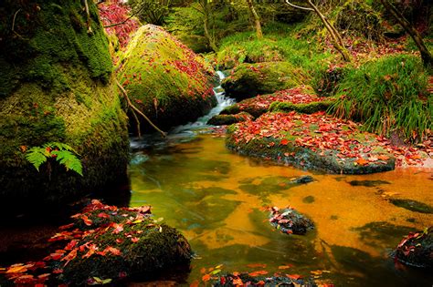 Desktop Wallpapers Foliage Autumn Nature Waterfalls Parks Moss