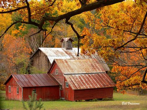 Autumn Barns Golden Oaks And Orange And Yellow Maple Trees Flickr