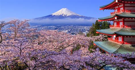 Japan Cherry Blossom Festival 2018 Where And When To