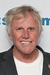 Gary Busey Now | A Star Is Born 1976 Cast Now | POPSUGAR Entertainment ...