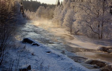 Wallpaper Winter Forest Snow Landscape Nature River Beauty Frost