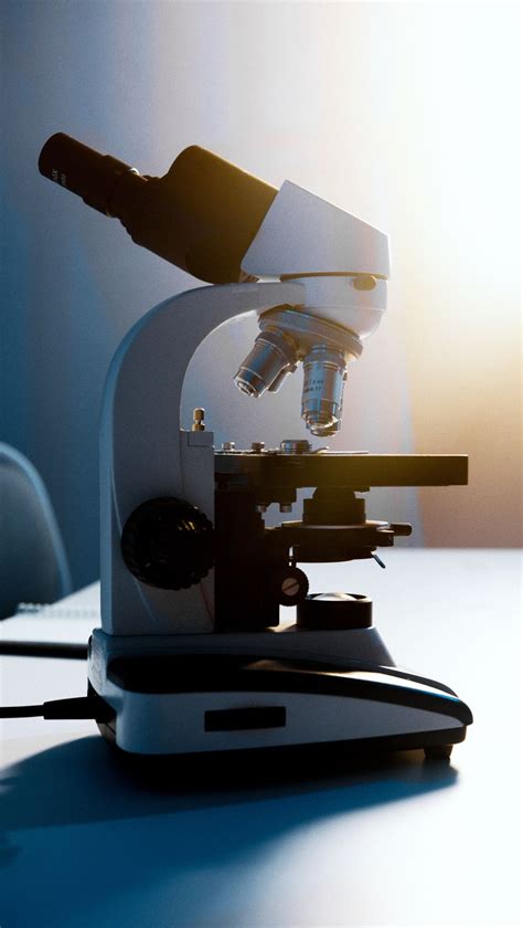 Mengenal Mikroskop Beserta Fungsi Jenis Dan Cara Menggunakan Mikroskop