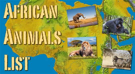 African Safari Animals List