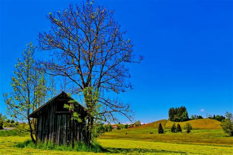 Countryside Trees Spring Sunny Sky Blue House Huts Fields Hills Green