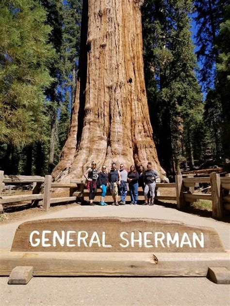 Sequoia National Forest General Sherman Rhiking