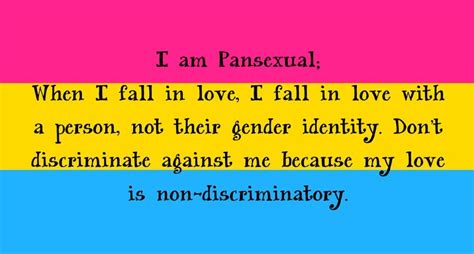 Pansexual Meanings The Digital Closet 2014 Slideshare Aug 20