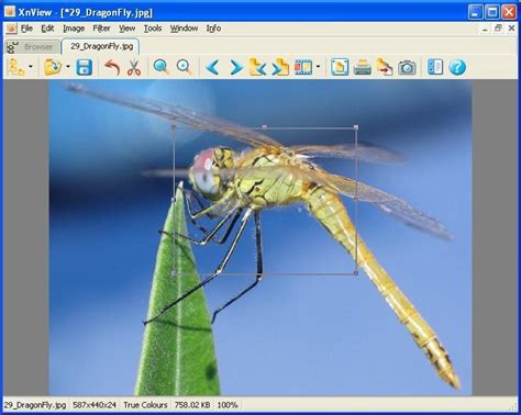 Best photo viewer, image resizer & batch converter for windows. Descargar XnView Full 2.22 Gratis para Windows