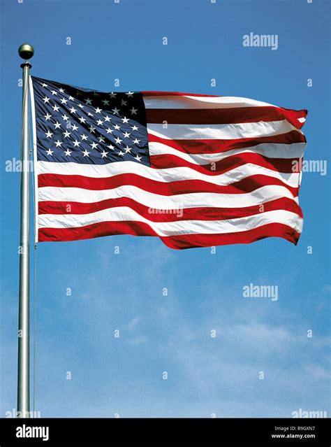 Flagpole American Flag America North America Flag National Flags Ensign