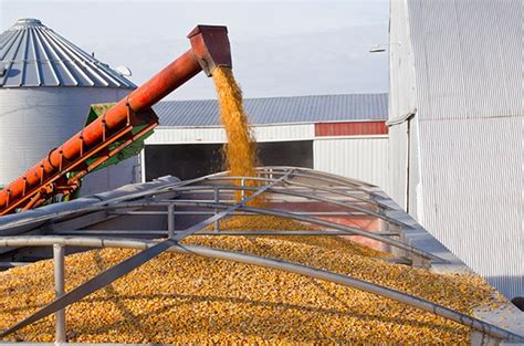 Agriculture Product Processing Equipment Screw Feeders And Conveyors