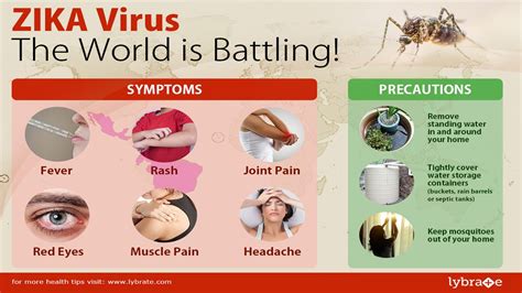 Zika Virus Symptoms How Do You Know If Youve Been Infected Youtube