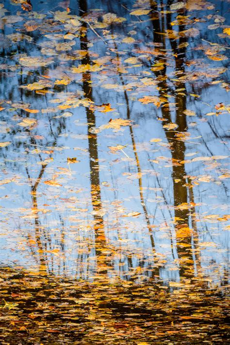 A Brief Guide To Water Reflection Photography Photocrowd Photography Blog