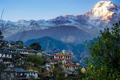 Sirubari Village Homestay Tour 9 Days Alpine Club Of Himalaya