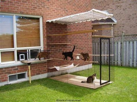 Outdoor Cat Enclosure With Window Access Bricolage Pour Chat Enclos