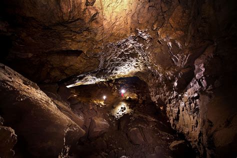 Inside Albertas Biggest Bat Cave Cbc News