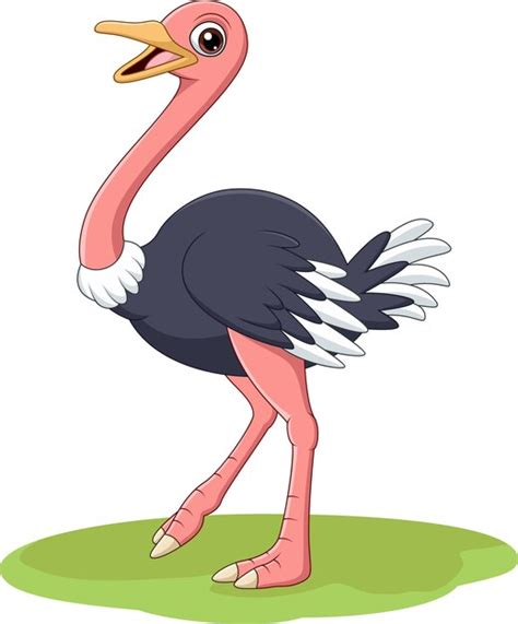 Cartoon Happy Ostrich In The Grass Premium Vector