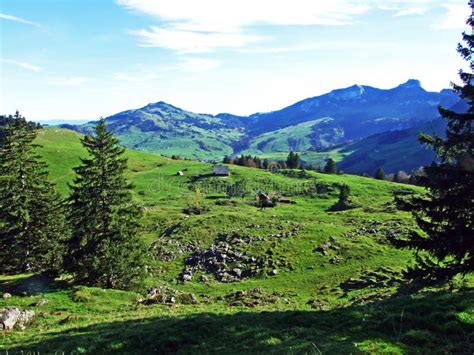 Alpine Pastures And Meadows In The Apenzellerland Region And On The