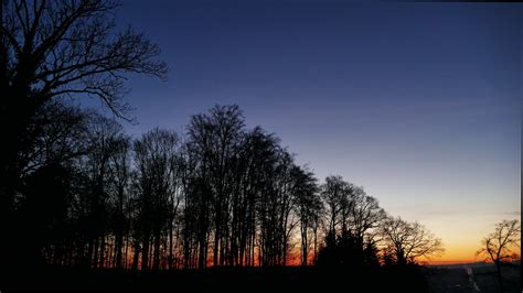 Download 2560x1440 Wallpaper Twilight Sunset Blue Sky Nature Dual