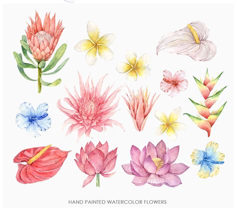Watercolor Tropical Flowers Clipart PNG Hand Painted Tropical Etsy