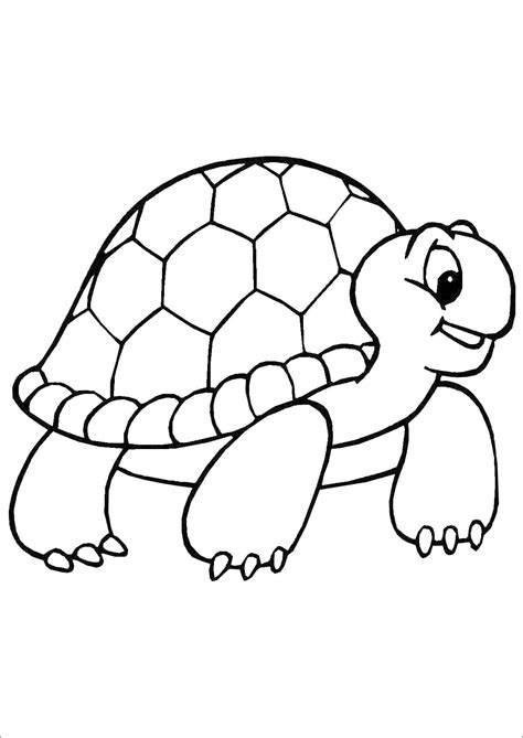 Tortoise Coloring Pages Printable