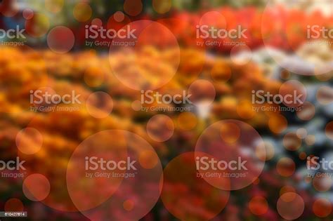 Abstract Blur City Park Bokeh Background Stock Photo Download Image