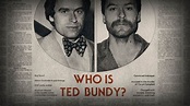 Netflix Creeped Out About Ted Bundy's 'Alleged Hotness'