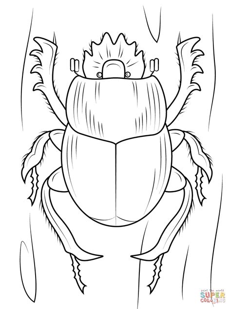 Realistic Bug Coloring Pages