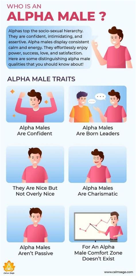 How You Can Become An Alpha Male Alpha Male Traits