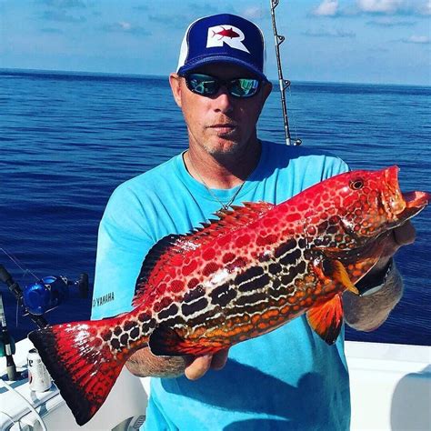 Reel Monsters Fishing On Instagram Thats An Amazing Looking Fish 😲