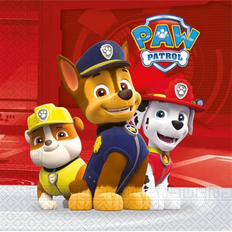 Paw Patrol Deluxe Party Pack 8 Guest
