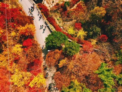 Merasakan wisata dengan kondisi musimnya tentu mempunyai pengalaman yang menyenanangkan, saat harus. Musim Gugur Pemandangan Korea Selatan - Paimin Gambar